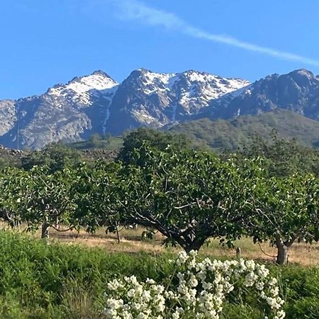 Mirada A Gredos Villa Канделеда Екстериор снимка