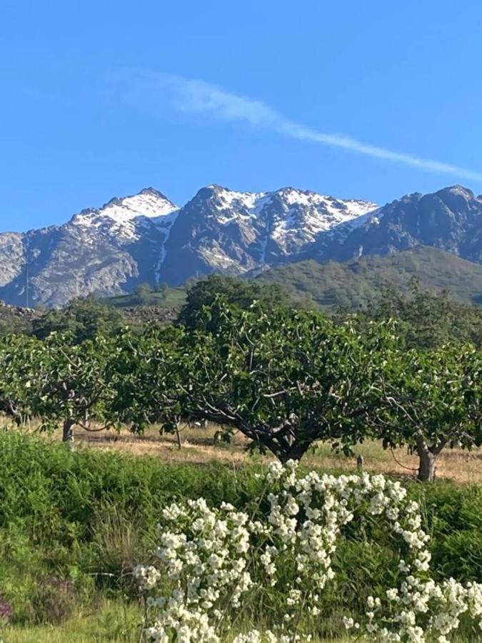 Mirada A Gredos Villa Канделеда Екстериор снимка