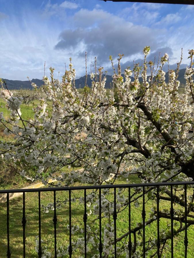 Mirada A Gredos Villa Канделеда Екстериор снимка